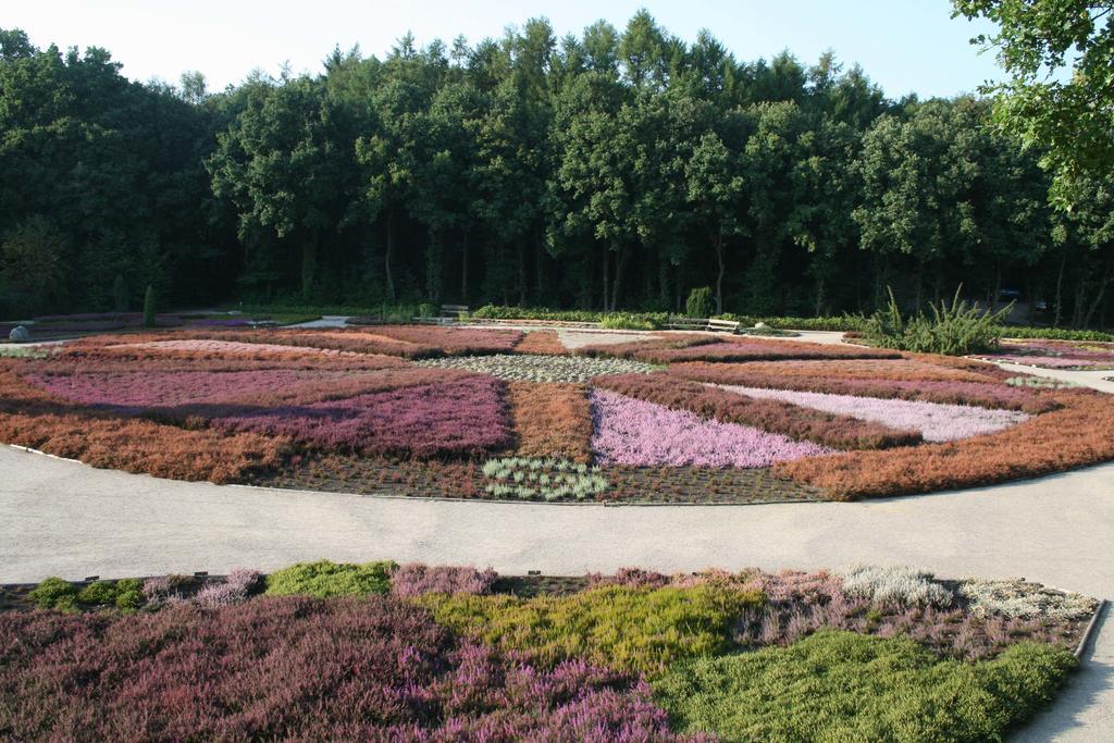 Ferienwohnung Lueneburger Heide Шневердинген Екстериор снимка